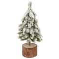 Floristik24 Mini karácsonyfa fa talp zöld fehér Ø8cm H18cm 3db