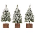Mini karácsonyfa fa talp zöld fehér Ø8cm H18cm 3db | Floristik24.hu