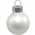 Floristik24 Mini karácsonyi golyók üveg fehér fényes/matt Ø2,5cm 24db
