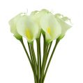 Floristik24 Mini calla műfehér L 28cm 12 db