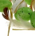 Floristik24 Mini tojás zöld-fehér 2,5cm 48db
