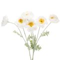 Floristik24 Műpipacs, fehér, hosszú szárú, 78 cm, 3 darab