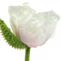 Floristik24 Műmák, selyemvirág fehér-rózsaszín L55/60/70cm 3 db-os készlet