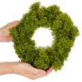 Műmoha koszorú, asztalra vagy ajtóra, 28 cm | Floristik24.hu