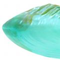 Floristik24 Díszítő kagyló zöld 18cm