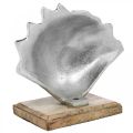 Floristik24 Felállítható kagyló, tengeri fém díszítés fa alappal ezüst, natúr 16 × 19cm
