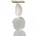 Shell Garland Mother of Pearl Shell Garland Capiz 195cm | Floristik24.hu
