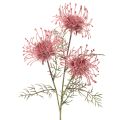 Floristik24 Művirág tűpárna protea virágzó ág 65cm 3db