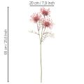 Művirág tűpárna protea virágzó ág 65cm 3db | Floristik24.hu