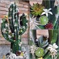 Floristik24 Virágos hab kaktusz figura fekete 38cm x 74cm