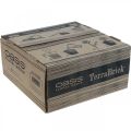 Floristik24 OASIS® TerraBrick™ plug-in keverék komposztálható 8db