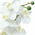 Floristik24 Orchidea fehér 77 cm