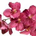 Floristik24 Mesterséges orchidea ág Pink H83cm