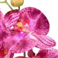 Floristik24 Orchidea lángos mesterséges Phalaenopsis lila 72cm