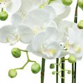 Floristik24 Mesterséges orchideák cserépben fehér műnövény 63cm