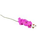 Floristik24 Mesterséges orchidea Phalaenopsis Orchid Pink 78cm