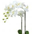 Floristik24 Orchidea fehér 65 cm-es izzón