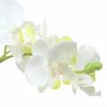 Floristik24 Orchideák fehér cserépben műnövény H35cm