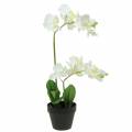 Floristik24 Orchideák fehér cserépben műnövény H35cm