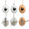 Floristik24 Húsvéti dekoráció, akasztható csirke tojás, dekortojások toll és csirke, barna, kék, fehér 6db-os készlet