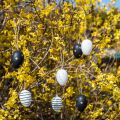 Floristik24 Húsvéti tojások akasztáshoz Black White Gold Vegyes H6cm 12db