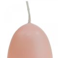 Floristik24 Húsvéti gyertyák tojás alakú, tojás gyertyák Húsvéti őszibarack Ø4,5cm H6cm 6db