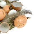 Floristik24 Húsvéti koszorú tojással Ø24cm natúr, fehér
