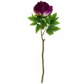 Floristik24 Paeonia, mesterséges bazsarózsa virág Pink Peonie Ø11cm L45cm