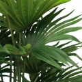 Floristik24 Pálma dekoratív legyező pálma műnövények cserép zöld 80cm