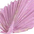 Floristik24 Palmspear Mix Pink Berry, White Washed Memorial Floristry 65db