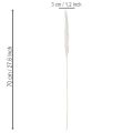 Pampa fű szárított virágok fehérítve 70cm 15db | Floristik24.hu