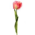 Floristik24 Papagáj tulipán rózsaszín 71cm 3db