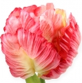 Floristik24 Papagáj tulipán rózsaszín 71cm 3db