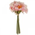Floristik24 Paeonia bazsarózsa művirág Bazsarózsa rózsaszín Ø6cm 28cm 7db