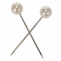Pearl fej tűk pezsgő Ø15mm 75mm | Floristik24.hu