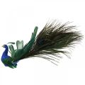 Floristik24 Paradicsommadár, páva szorító, tollmadár, madárdísz kék, zöld, színes H8,5 L29cm