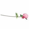 Floristik24 Bazsarózsa művirág virággal és rügy rózsaszín 68cm