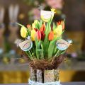 Floristik24 Növénydugók színes csirke dekordugók fa tyúk húsvéti dekoráció 14 db