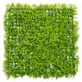 Floristik24 Műbükkfa növényszőnyeg 55x55 cm dekoratív faldekorációhoz