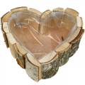Floristik24 Ültető, szív alakú fatál, nyírfa ültető, szívtál 27 × 28cm