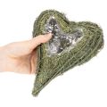 Természetes anyagból készült növényi szív fóliabetéttel, 22 cm, 2 darab | Floristik24.hu