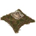 Floristik24 Növénypárna kúszónövény moha virágtál natúr 20×20×6,5 cm