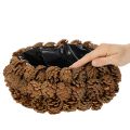 Kerek fenyőtoboz ültetőtál, 30cm | Floristik24.hu