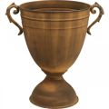 Floristik24 Növénycserép rozsdás megjelenésű csésze váza fém Ø22,5cm H32,5cm