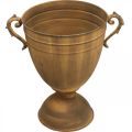 Növénycserép rozsdás megjelenésű csésze váza fém Ø22,5cm H32,5cm | Floristik24.hu