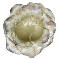 Floristik24 Rózsavirág ültetésre, temetési virágok, kövirózsa, betondísz szürke, sárgabarack, ibolya Ø11cm L22cm H9cm
