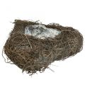 Növénytál szív alakú temető, szőlő szív alakú ültetéshez 15cm 2db | Floristik24.hu