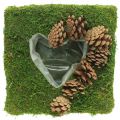 Floristik24 Növényi párna szív moha és kúpok négyzet 25 × 25 cm