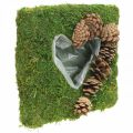 Floristik24 Növényi párna szív moha és kúpok négyzet 25 × 25 cm