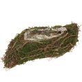 Floristik24 Plant Wave Vines kis virágtál mohával 31×15×7cm